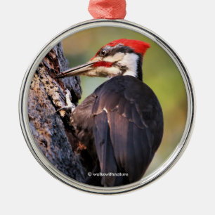 Adorno Metálico Hermoso pájaro carpintero apilado en el árbol
