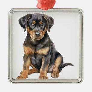 ADORNO METÁLICO HERMOSO PERRO ROTTWEILER NEGRO Y TONTO