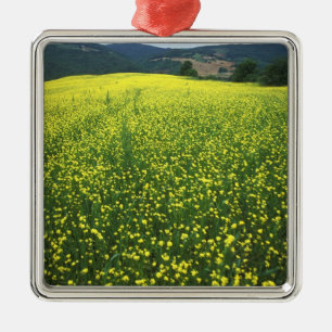 Adorno Metálico Hermosos campos amarillos cubiertos de flores de S