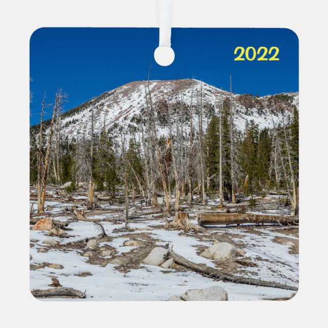 Adorno Metálico Hermosos lagos Mammoth, CA (Reverso )