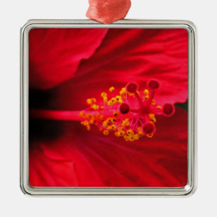 Adorno Metálico Hibiscus