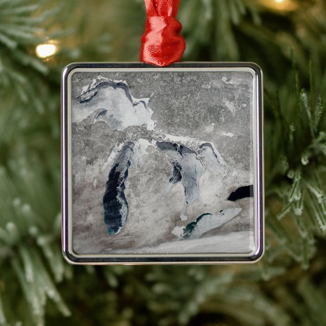 Adorno Metálico Hielo En Los Grandes Lagos, Estados Unidos. (Árbol)