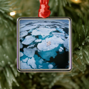 Adorno Metálico Hielo y nieve   Oso Polar, Océano Ártico, Svalbard