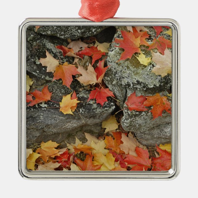 Adorno Metálico Hojas de otoño en la pared de piedra, Minute Man (Frente)