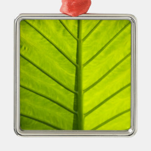 Adorno Metálico Hojas verdes veteadas de follaje tropical en