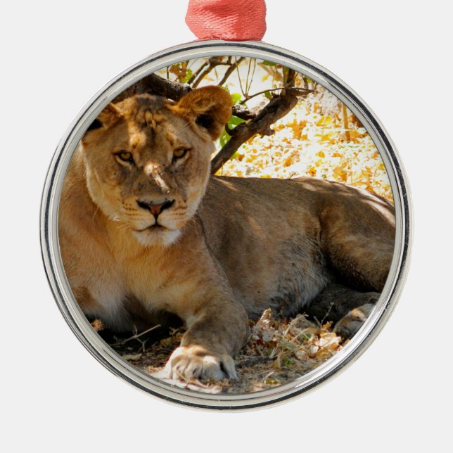 Adorno Metálico Hora de Siesta (Frente)