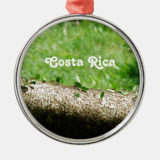 Adorno Metálico Hormigas cortadoras de hojas en Costa Rica