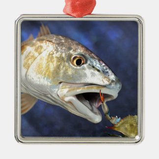 Adorno Metálico Huelga de los salmones