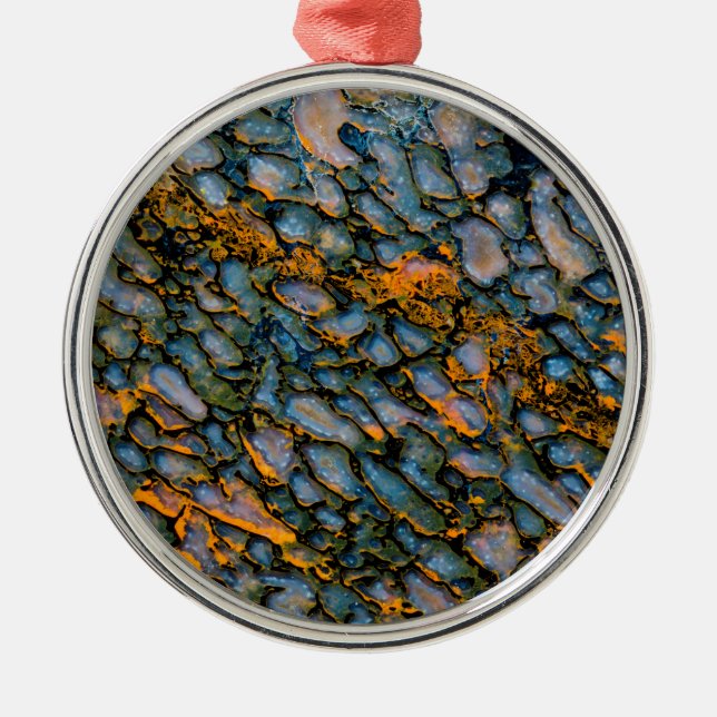 Adorno Metálico Hueso de dinosaurio Petrificado (Frente)