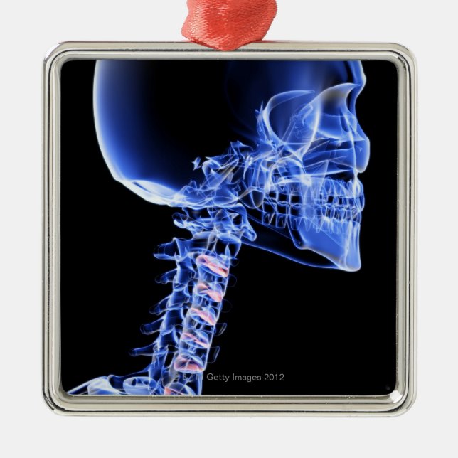 Adorno Metálico Huesos de la cabeza y del cuello (Frente)