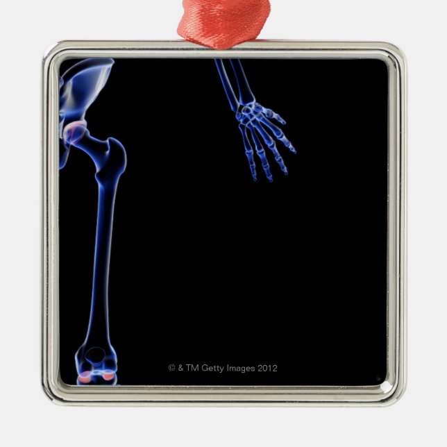 Adorno Metálico Huesos de la cadera (Frente)