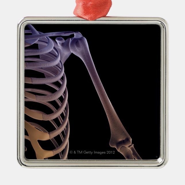 Adorno Metálico Huesos del hombro (Frente)