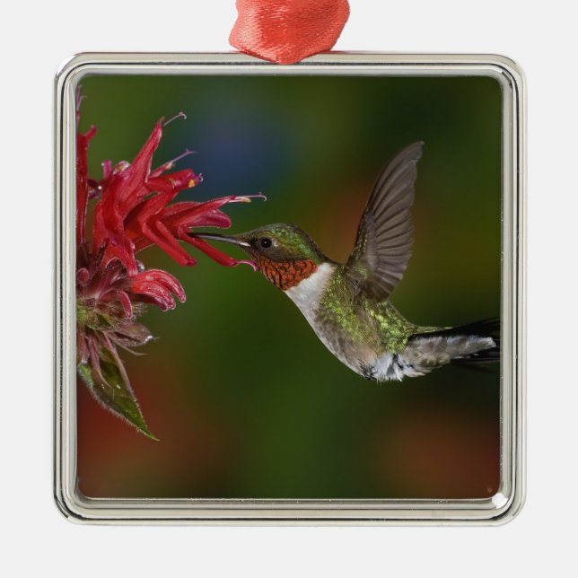 Adorno Metálico Hummingbird (Frente)