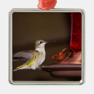 Adorno Metálico Hummingbird