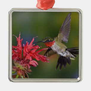 Adorno Metálico Hummingbird
