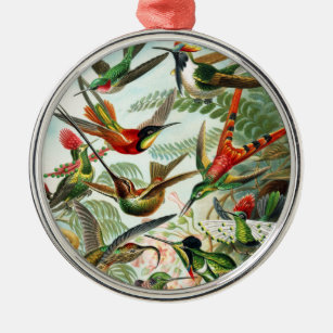 Adorno Metálico Hummingbirds by Ernst Haeckel    