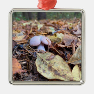 Adorno Metálico Humor en hongos