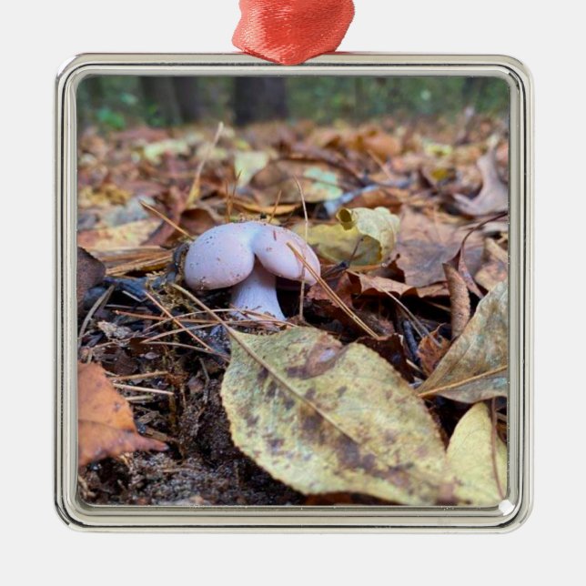 Adorno Metálico Humor en hongos (Frente)