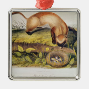 Adorno Metálico hurón Negro-con base