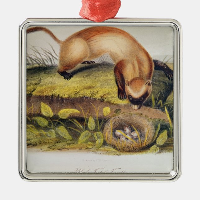 Adorno Metálico hurón Negro-con base (Frente)