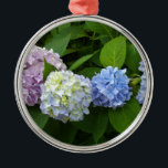 Adorno Metálico Hydrangeas<br><div class="desc">Hermosa y romántica hortensias rosa púrpura azul - fotografía de H Cooper</div>