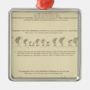 Adorno Metálico Idiotas, litografía Estadounidense 1870