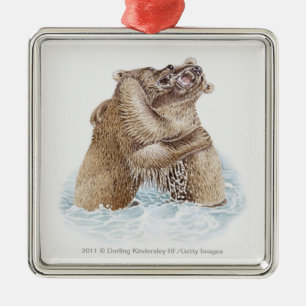 Adorno Metálico Ilustracion de dos osos de Brown que luchan en