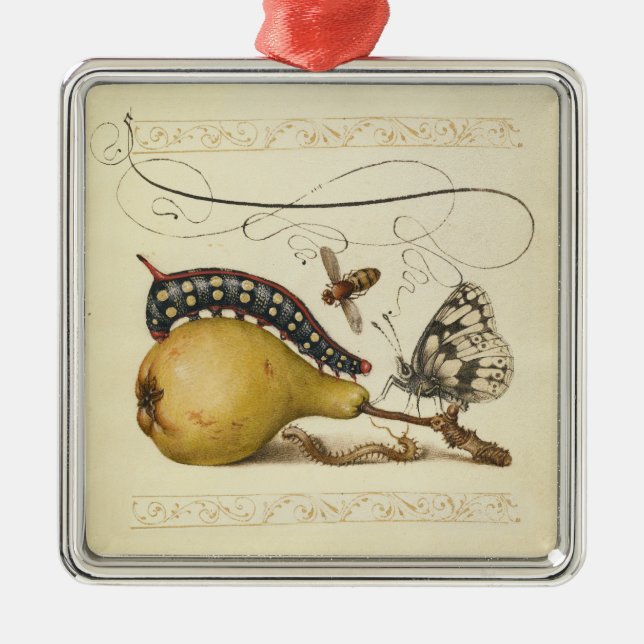 Adorno Metálico Ilustracion de insectos de fruta de mariposa de ab (Frente)