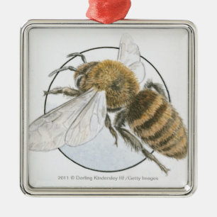 Adorno Metálico Ilustracion de la abeja europea de la miel