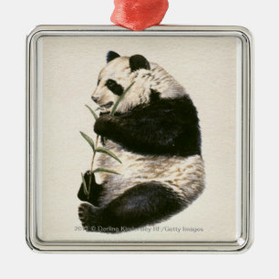 Adorno Metálico Ilustracion de la panda gigante que alimenta en
