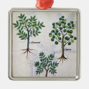 Adorno Metálico Ilustracion del 'libro de las medicinas simples