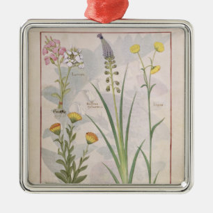 Adorno Metálico Ilustracion del 'libro de las medicinas simples