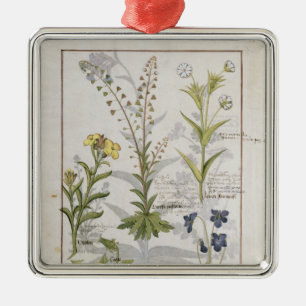 Adorno Metálico Ilustracion del "libro de las medicinas simples" 2