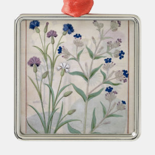 Adorno Metálico Ilustracion del "libro de las medicinas simples" 3