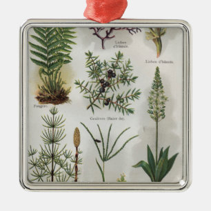 Adorno Metálico Ilustracion en el "" LUNES DOCTEUR "