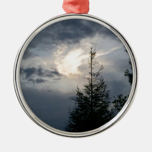 ADORNO METÁLICO IMG_6587.JPG (Frente)