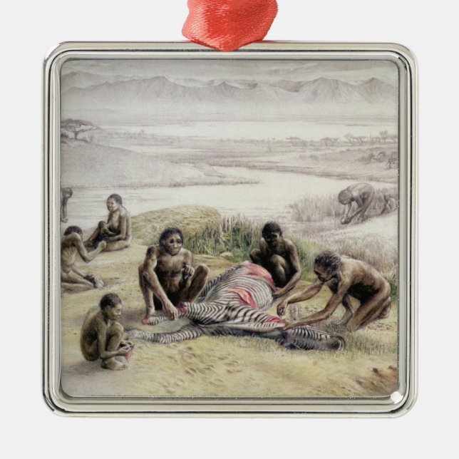 Adorno Metálico Impresión de un campo ocupado por habilis de homo (Frente)