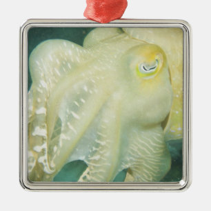 Adorno Metálico Indonesia, Provincia de Sulawesi Meridional, Wakat