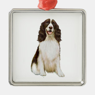 Adorno Metálico Inglés Springer Spaniel (B) - Hígado y blanco