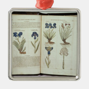 Adorno Metálico Iris