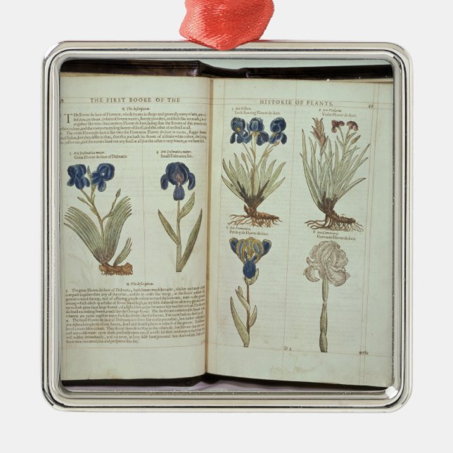 Adorno Metálico Iris (Frente)