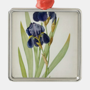 Adorno Metálico Iris Germanica, de "Les Liliacees", 1805