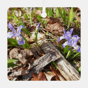 Adorno Metálico Iris Miniatura Silvestre