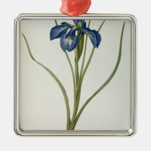 Adorno Metálico Iris Xyphioides, de "Les Liliacees", 1808