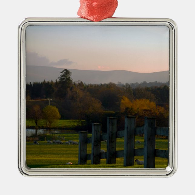 Adorno Metálico Irlanda es hermosa (Frente)