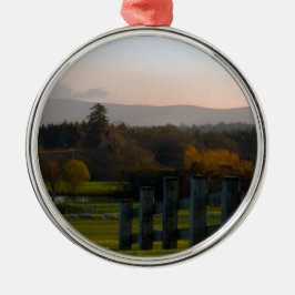 Adorno Metálico Irlanda es hermosa