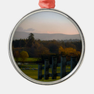 Adorno Metálico Irlanda es hermosa