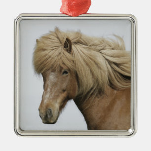 Adorno Metálico Islandia. Retrato de un caballo islandés.