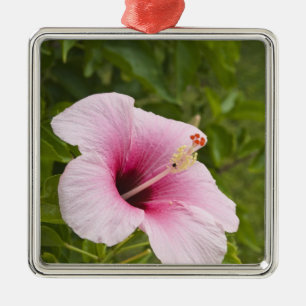 Adorno Metálico Islas Cook, Atiu. Flor de hibisco.