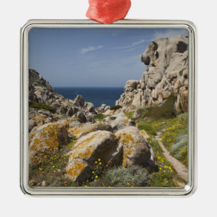 Adorno Metálico Italia, Cerdeña, Santa Teresa Gallura. Capo 2